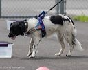 20260718-nskc-0257
