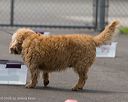 20260718-nskc-0276