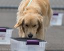20260718-nskc-0298