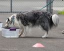 20260718-nskc-0314