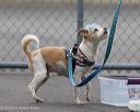 20260718-nskc-0351