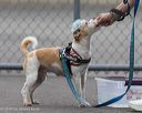 20260718-nskc-0352