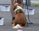 20260718-nskc-0369