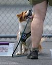 20260718-nskc-0370