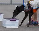 20260718-nskc-0409