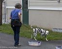 20260718-nskc-0431