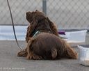 20260718-nskc-0465
