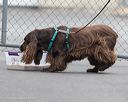 20260718-nskc-0467