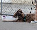 20260718-nskc-0468