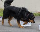 20260718-nskc-0501