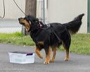 20260718-nskc-0503