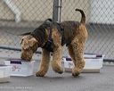 20260718-nskc-0556