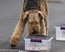 20260718-nskc-0558