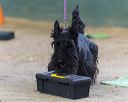 20260718-nskc-0572