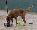 20260718-nskc-0582
