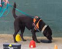20260718-nskc-0626