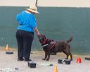 20260718-nskc-0635