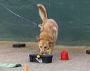 20260718-nskc-0678