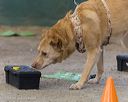 20260718-nskc-0679