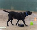 20260718-nskc-0697