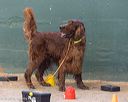 20260718-nskc-0706