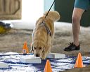 20260718-nskc-0014