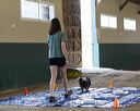 20260718-nskc-0036
