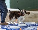 20260718-nskc-0047