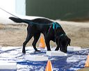 20260718-nskc-0054