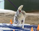 20260718-nskc-0075