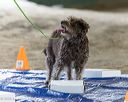 20260718-nskc-0093