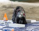 20260718-nskc-0187
