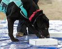 20260718-nskc-0198