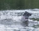 20260815-CWD-0265