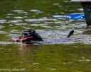 20260816-CWD-0219
