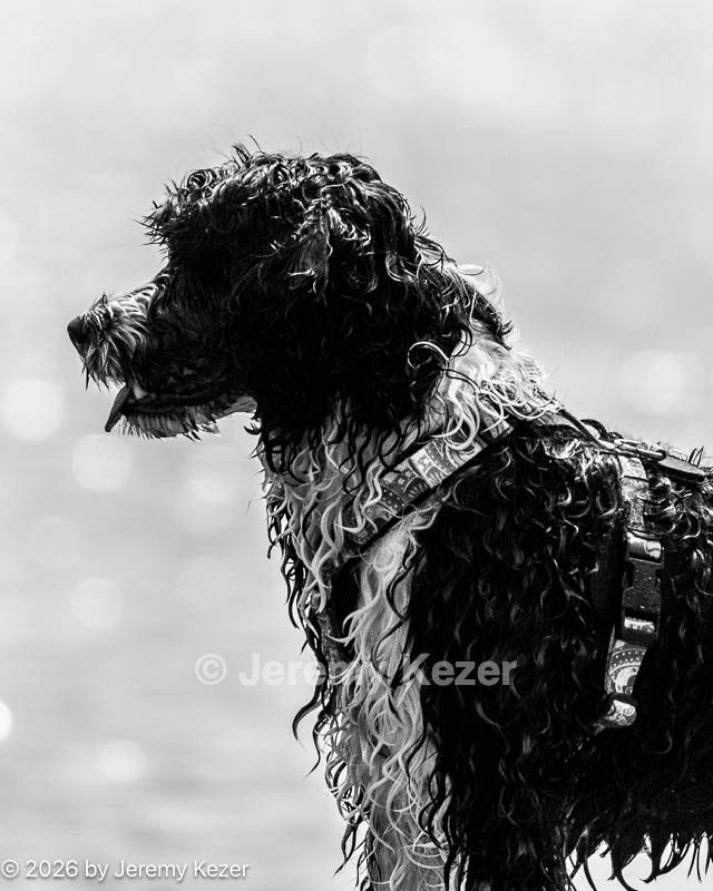 20260816-Master-0004.jpg