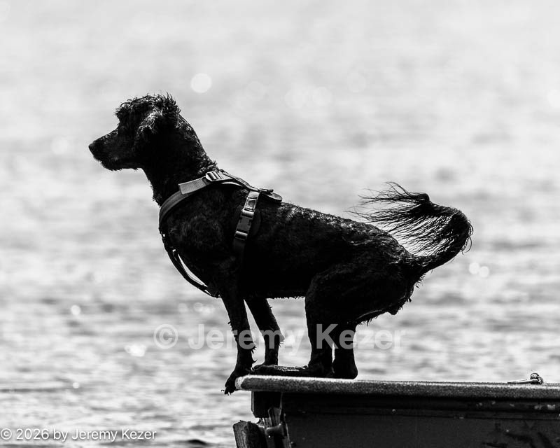 20260816-Master-0115.jpg
