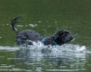 20260823-CWD-0043