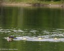 20260823-CWD-0062