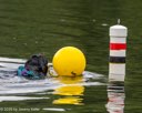20260823-CWD-0071