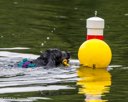 20260823-CWD-0072