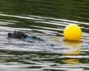 20260823-CWD-0077