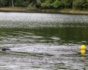 20260823-CWD-0078