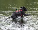 20260823-CWD-0085