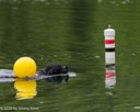 20260823-CWD-0126