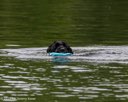 20260823-CWD-0135