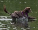 20260823-CWD-0157