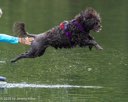 20260823-CWD-0166