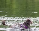 20260823-CWD-0183