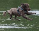 20260823-CWD-0234